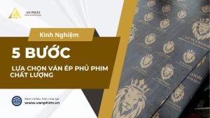 5 bước lựa chọn ván ép phủ phim chất lượng