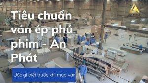 tiêu chuẩn ván ép phủ phim - an phát