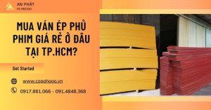 mua ván ép phủ phim giá rẻ ở đâu tại thành phố hồ chí minh