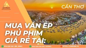 mua ván ép phủ phim cần thơ