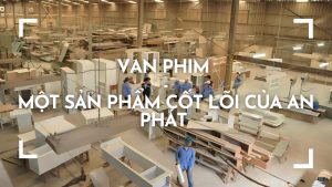van phim - một sản phẩm cốt lõi của an phát